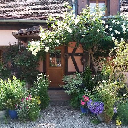 Hissele Bed & Breakfast Hilsenheim Exterior photo