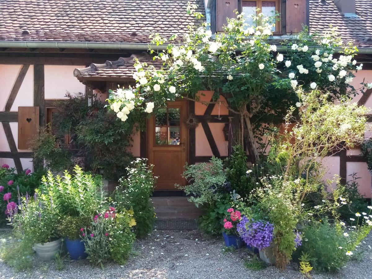 Hissele Bed & Breakfast Hilsenheim Exterior photo