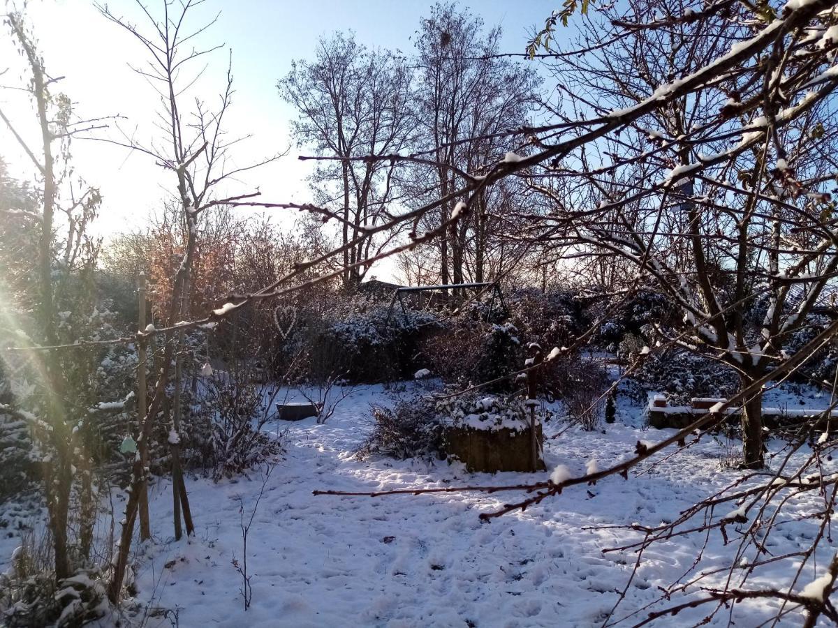Hissele Bed & Breakfast Hilsenheim Exterior photo