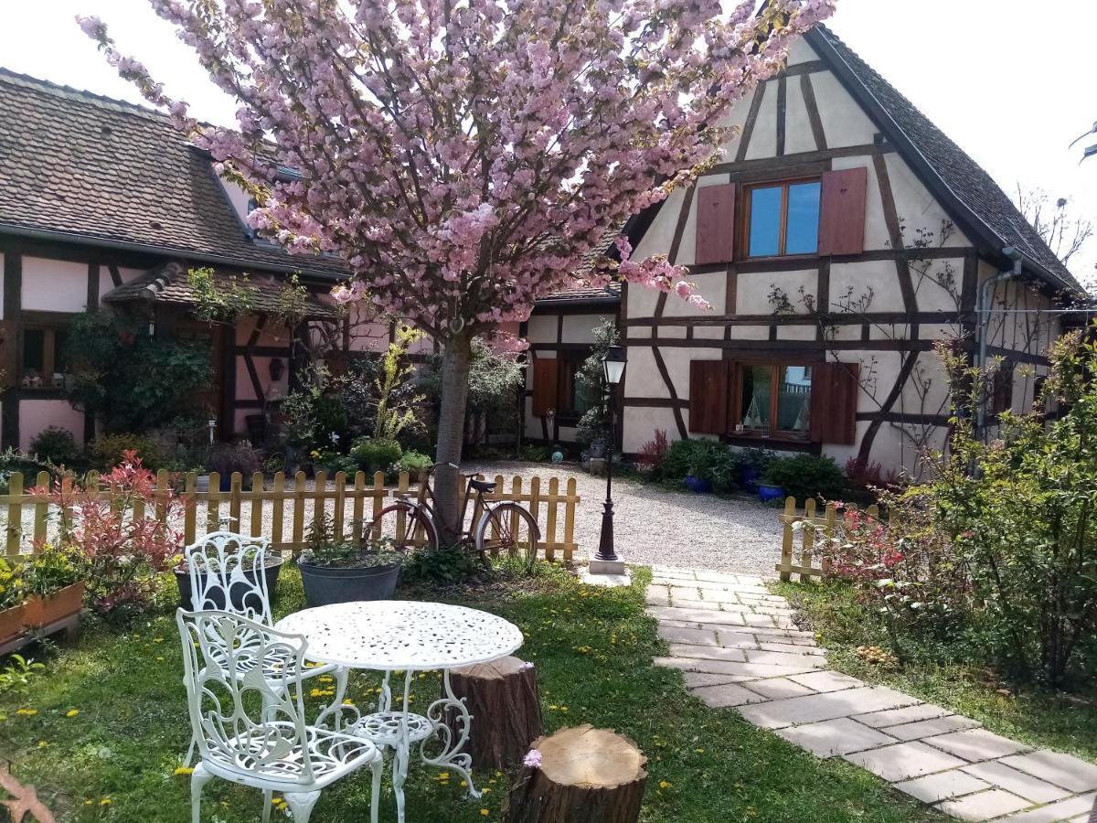 Hissele Bed & Breakfast Hilsenheim Exterior photo